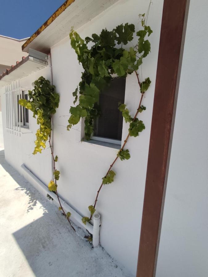 House Of Sun Apartment Fanes  Exterior photo